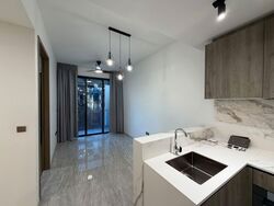 Leedon Green (D10), Condominium #591930811